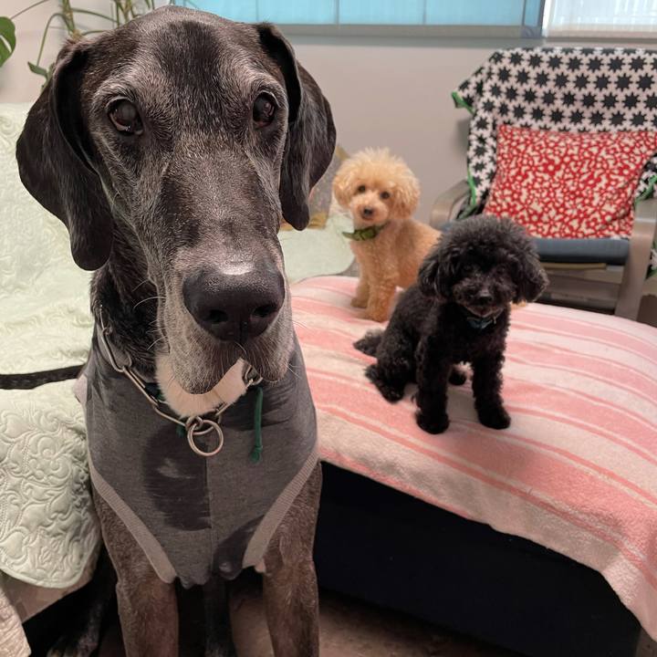 84345d6e ed03 4579 b855 ec765f858a82 1629240348695