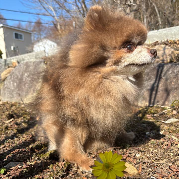 84346057 afb9 4c11 b5fd 50754f067b4a 1774402724700