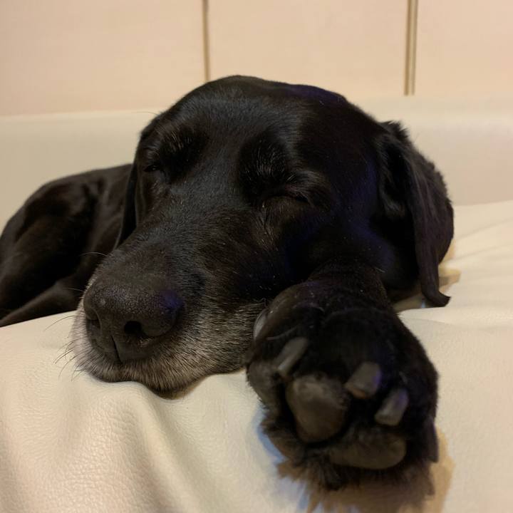 8434d64e ec93 4281 aced a2d0711b20f9 1552305668028