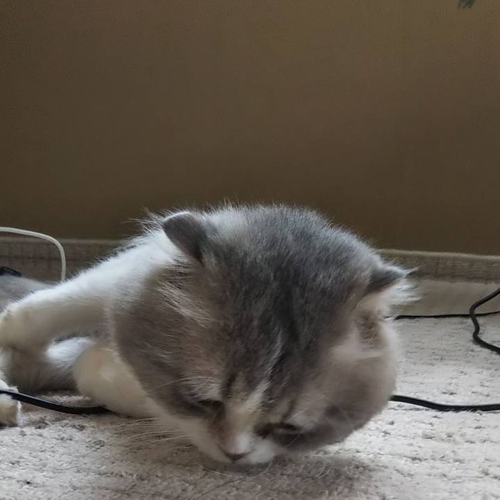 8434f2f0 85f0 479e b7ae 3562965371ba 1624754051588