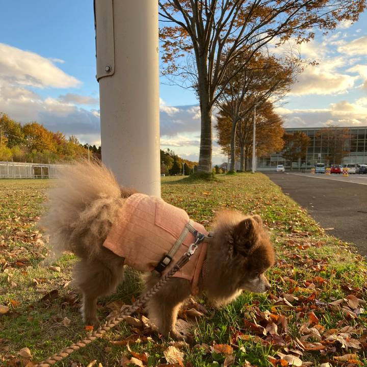 8434ff5d 1967 457c 89d9 2d0e1d63bb8d 1667422378402