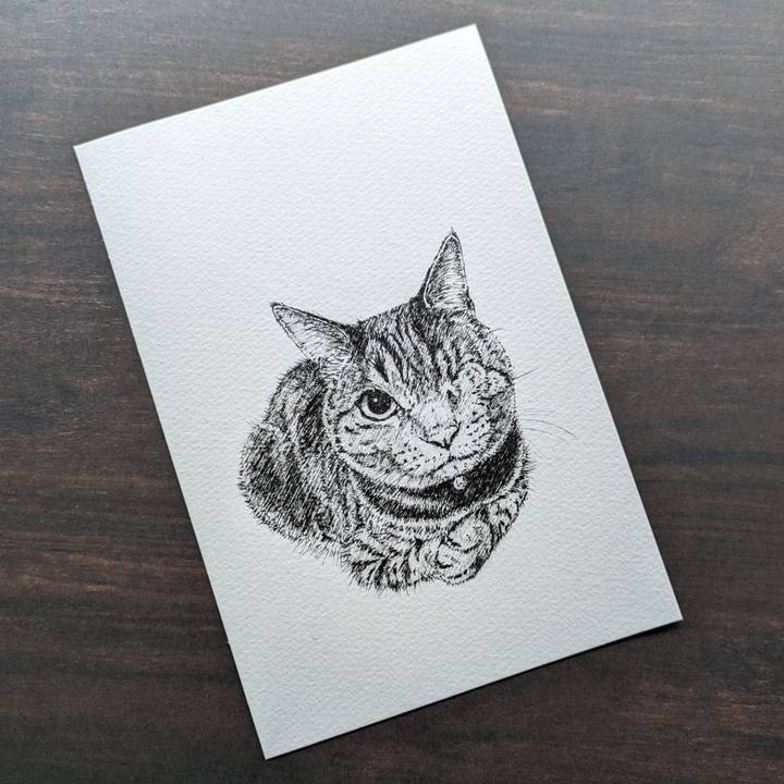 84353d5b 53f5 49f0 b6ad 4abefc065c3a 1692887174128