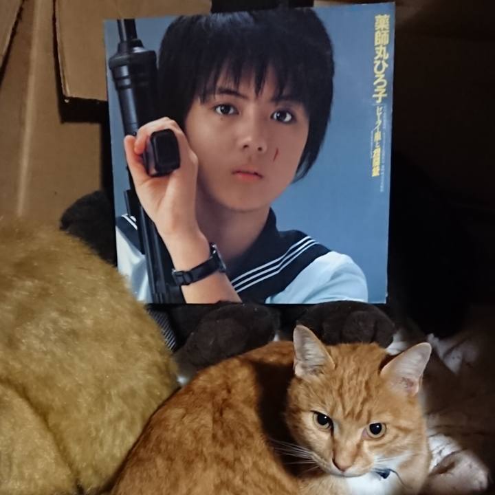 84355af1 5af9 4fee ad4a 5247781a05b8 1603626888161