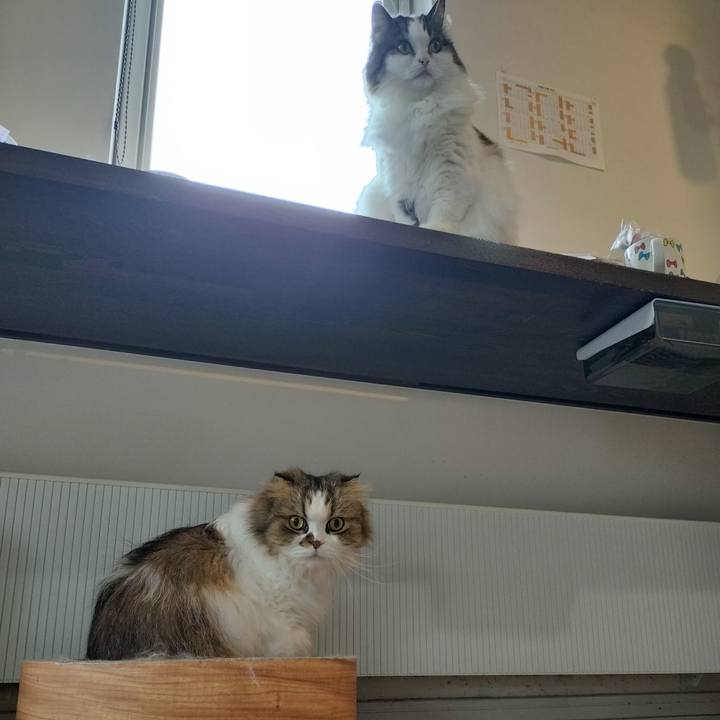 843561a3 4a78 4ff9 83d6 b0f3b63b6eff 1762043336227