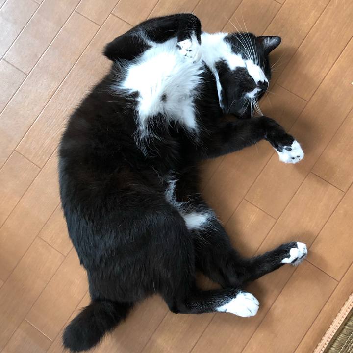 84357f28 f48e 4245 8be5 ea06435d94c4 1629257954256