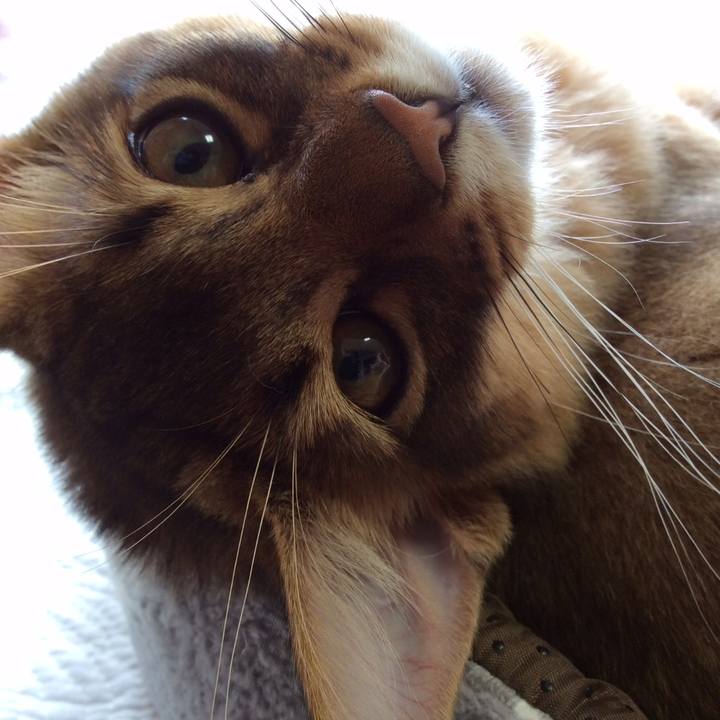 8435b953 831c 4c42 9bc9 6551e0608617 1574039226580