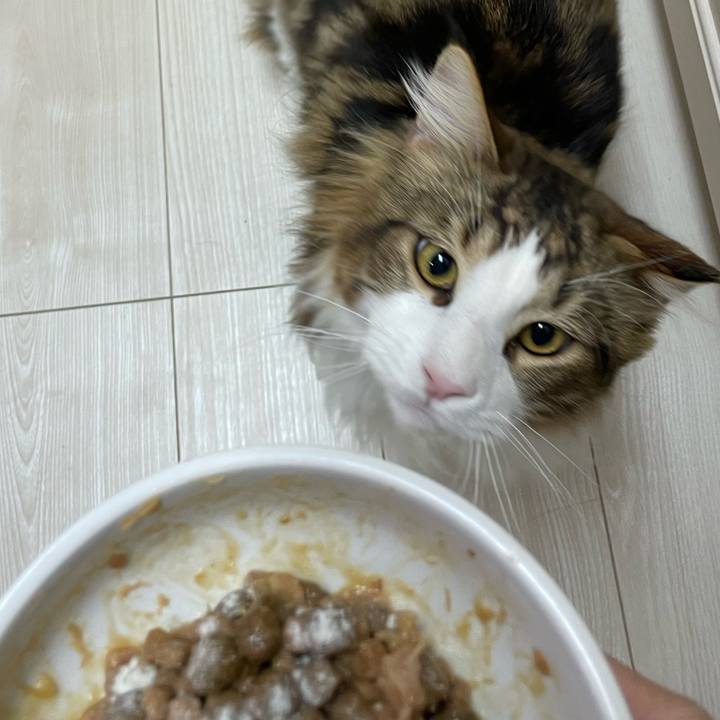 8435c5b3 a78b 4820 a493 639a93d0f0f5 1649966897793