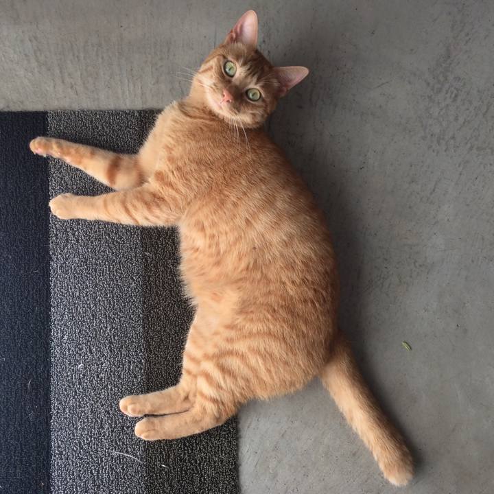 8435e4a9 ad5b 4237 8bf7 8d0661dfc79a 1531872419775