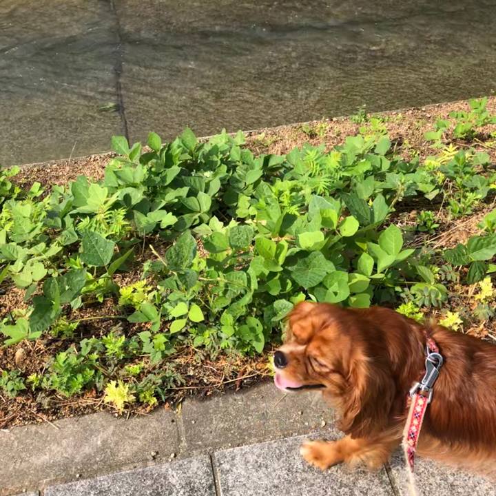 8435e909 a02c 4576 89e9 3bc91c1b3b00 1566339405989