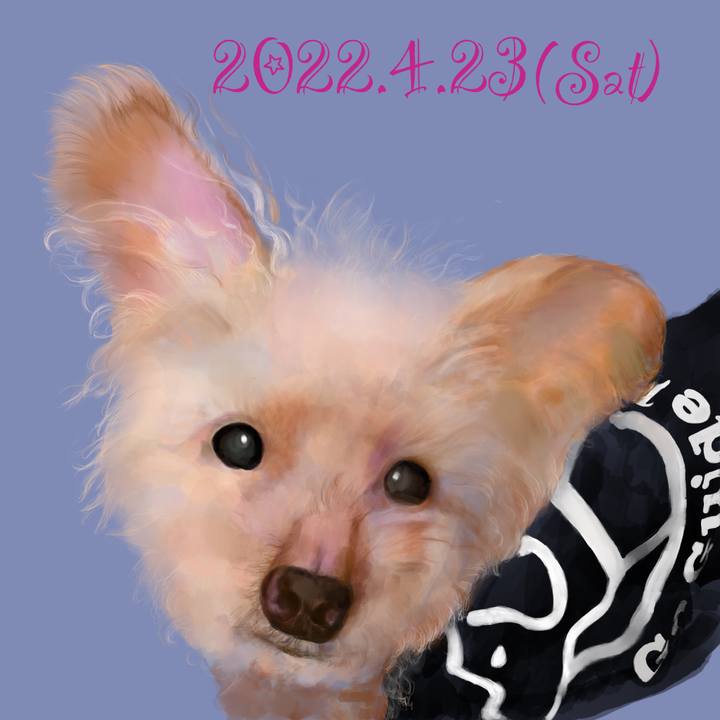84360da2 d971 42dc bda1 53b636660c7c 1650724640790