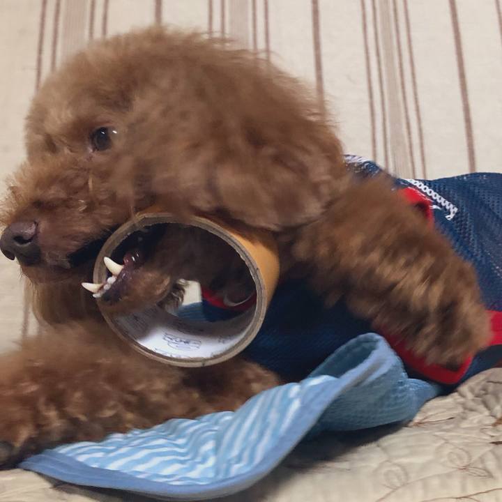 84365971 ae83 471d b936 9846207b751b 1566376028848