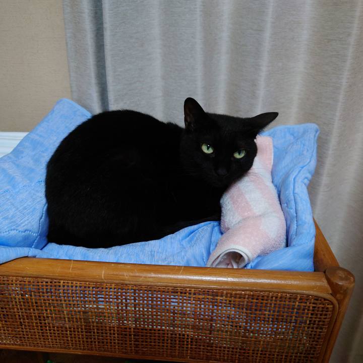 8436759a 1f88 4125 895d c9b2a9f43c9d 1753843534052