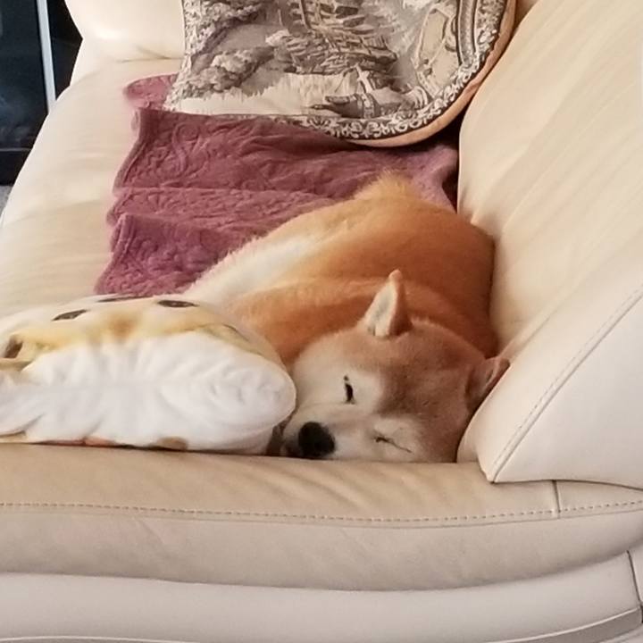 84368c31 d8fd 4d89 8416 74216b1ed3d3 1691029535266