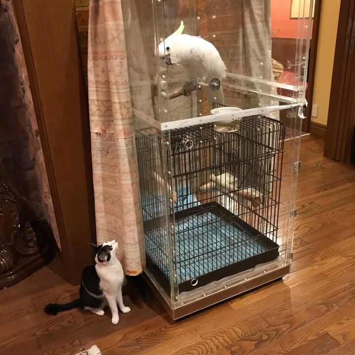 8436a8bd 67b9 4828 90d8 056023669354 1538910142176