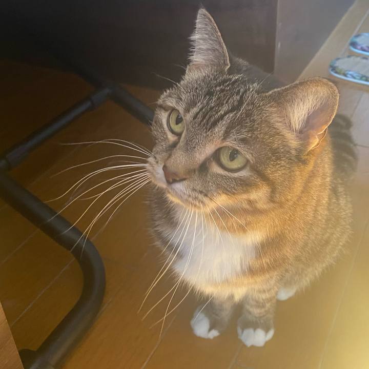 8436b87f d65b 4c71 8434 ab6ae3068a50 1740277525654