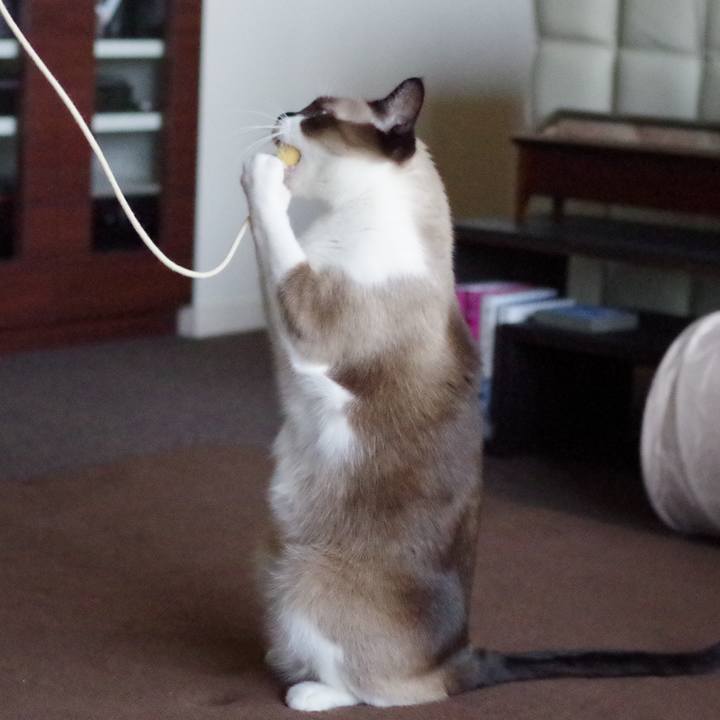 8436da17 f19d 4d8a b395 64aad8682c6e 1561433139644