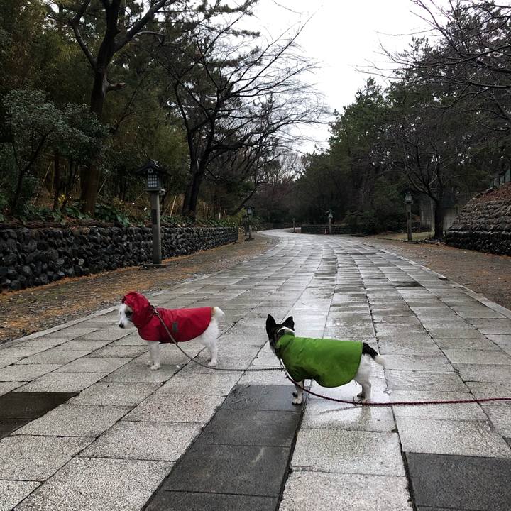 8436e620 0b82 4ae1 852b 5722d0c2c205 1576623686919