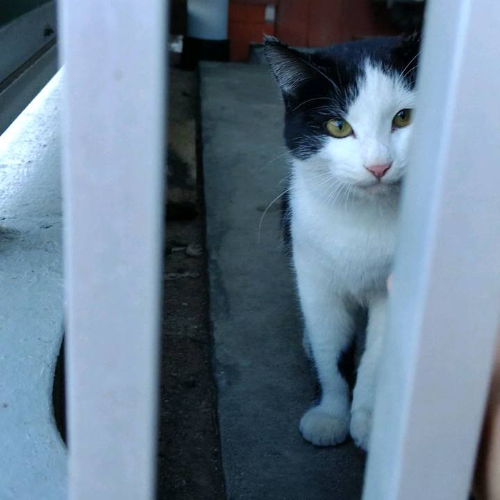 84370c86 a9c6 44b2 9f73 b4345891de87 1610180562782