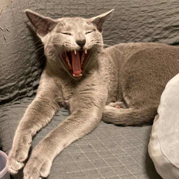 84371e34 1e09 41e2 a9e3 1e71d5f48ac6 1616309073244