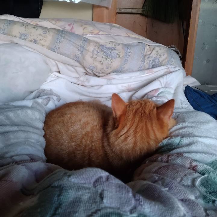 84372d9f 679d 45f1 8fda 7cbf0a94748c 1691360142808