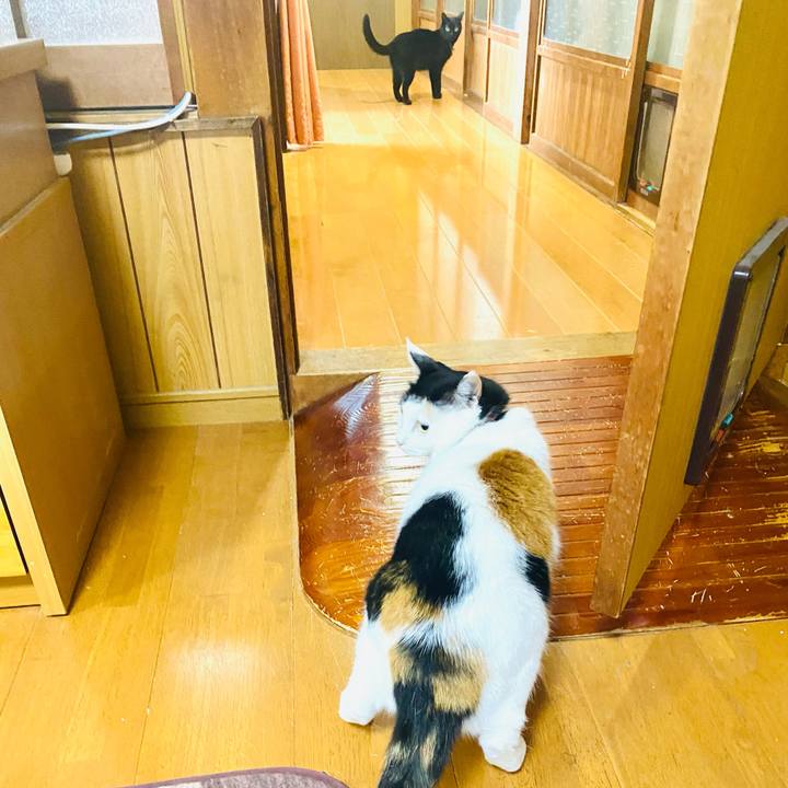 8437363d 8757 4e68 8c13 486aaabcf8f5 1717193011637