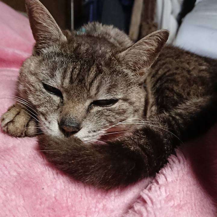 843744ec bae5 4079 a5d0 b8aaf60f28b7 1561409651196