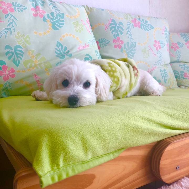 84376a88 e2e0 4914 a664 d37548a639a1 1548570505769