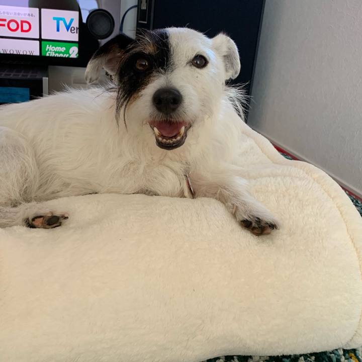 84379162 b66c 47d1 8eef 122d21f60254 1689132839657