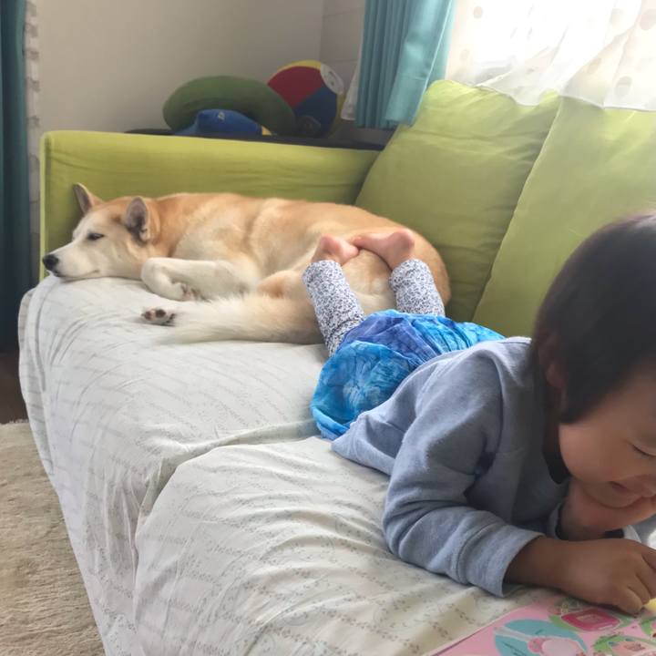 8437da87 6dd0 410d 960d 84b77080476e 1632125885948