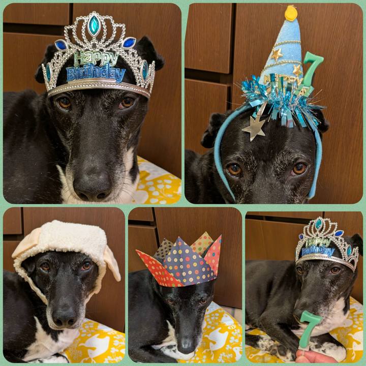 8437f43e f3a4 41a9 8e46 0eb15b2fbdcb 1743433408264