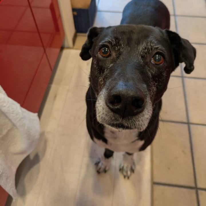 843805e0 1f84 4ed0 9d88 bf1c5ee36767 1737678913861