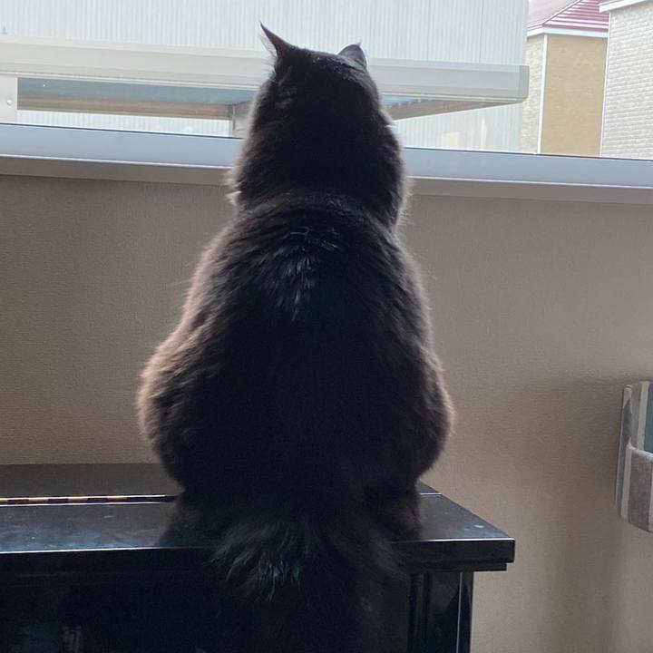 843857d3 4bc6 4151 a093 4e941f8b85ef 1635740012157