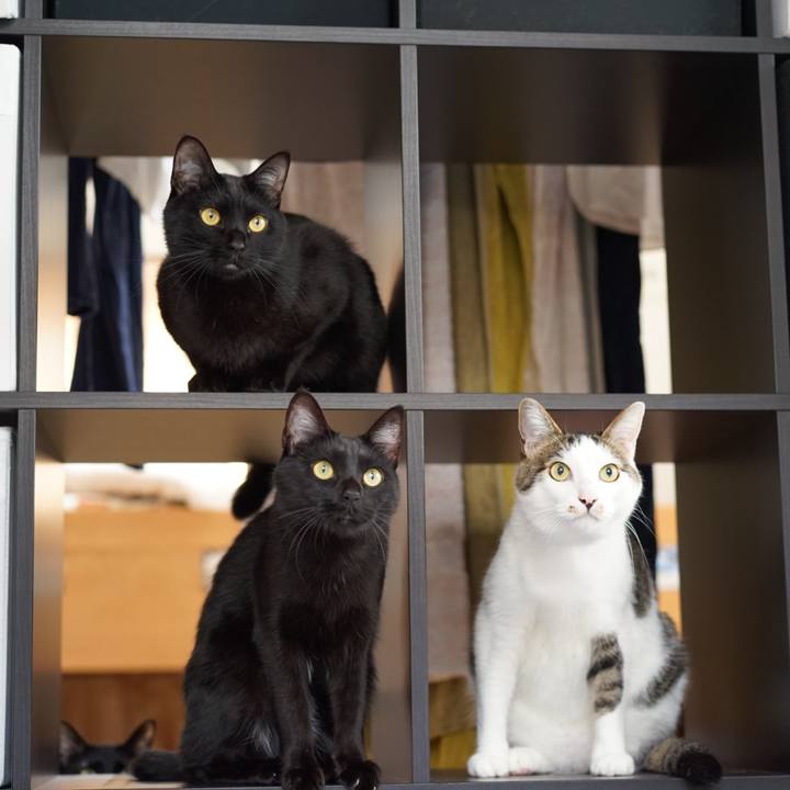 84385ad8 9b1e 4568 9f34 c7de96e7307c 1555630566922