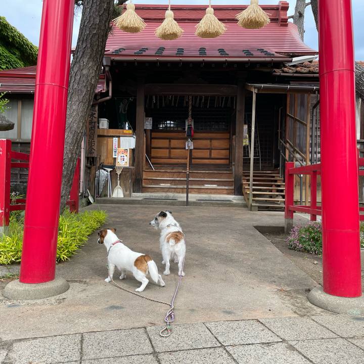 8438a27d e21a 47d3 92ef 9ba4499a72cf 1685141857429