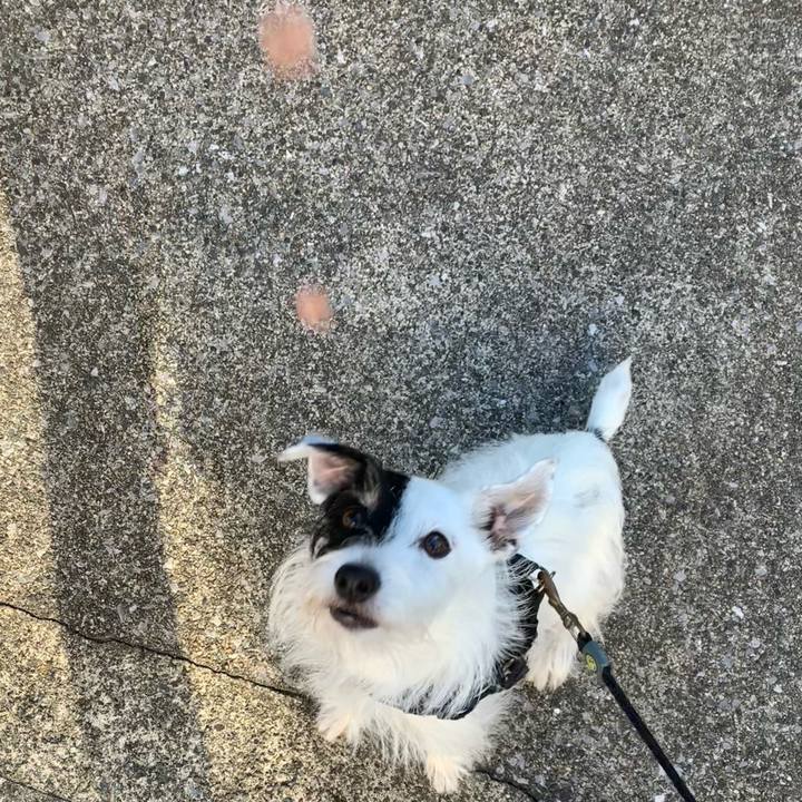 8438d054 2c9c 45ca b09d 11e483bba49f 1698623086380