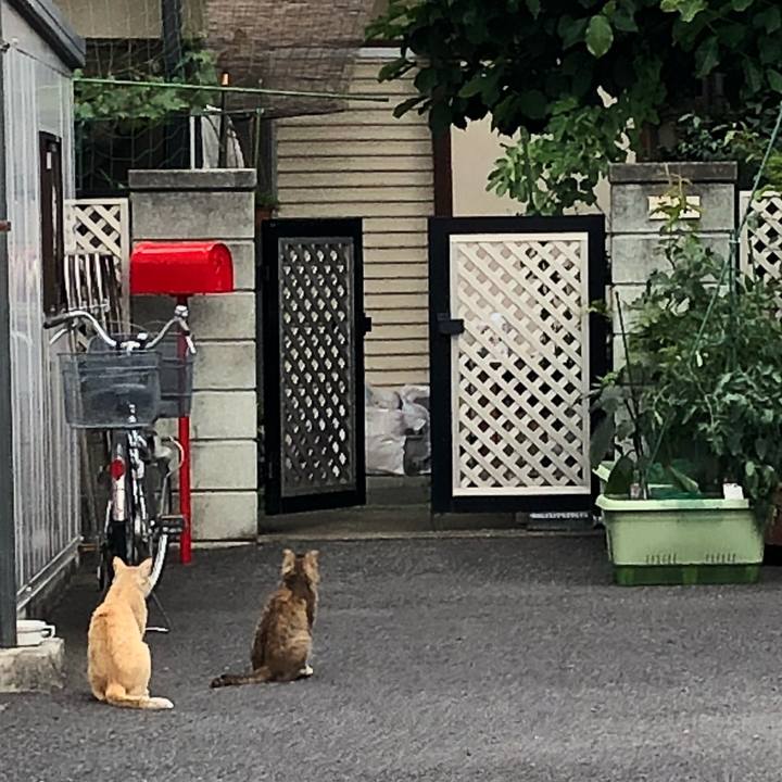 8438e143 829c 459a 930d b93f1d8a6065 1527663228643