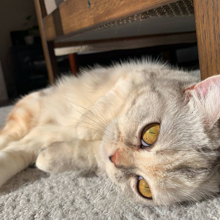 8438e15b 7b49 4bd2 82a8 674b78d612e0 1707524662725