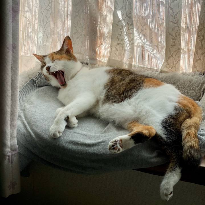 8438e8ad 367c 4868 afa0 4d98d044c65d 1620525939530