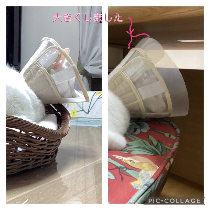 84390725 3905 4633 a5f0 142b9ea4432d 1682937865331