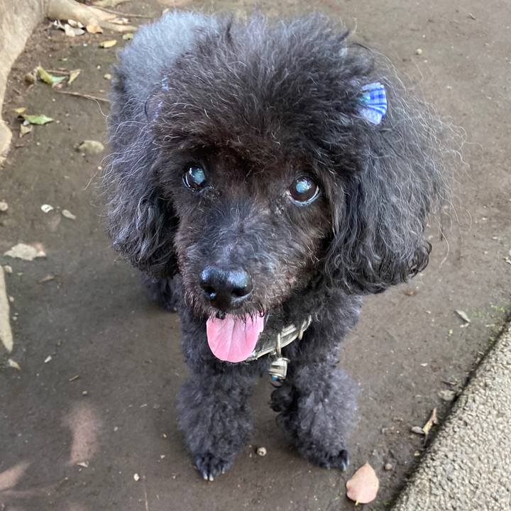 84390cb6 ce0a 47c7 8557 23bd2059a31b 1596425579070