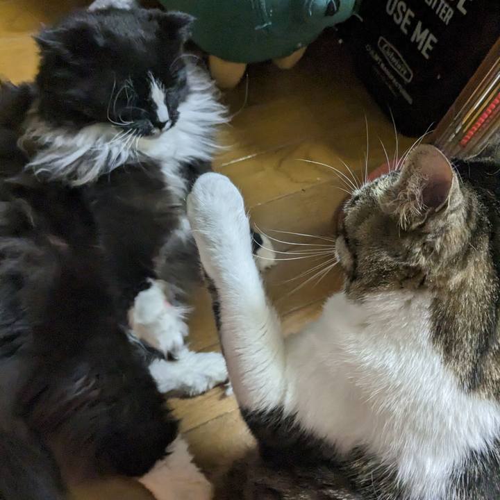 843939f8 22d2 4e60 95d5 88d1876f8d0d 1679007426464