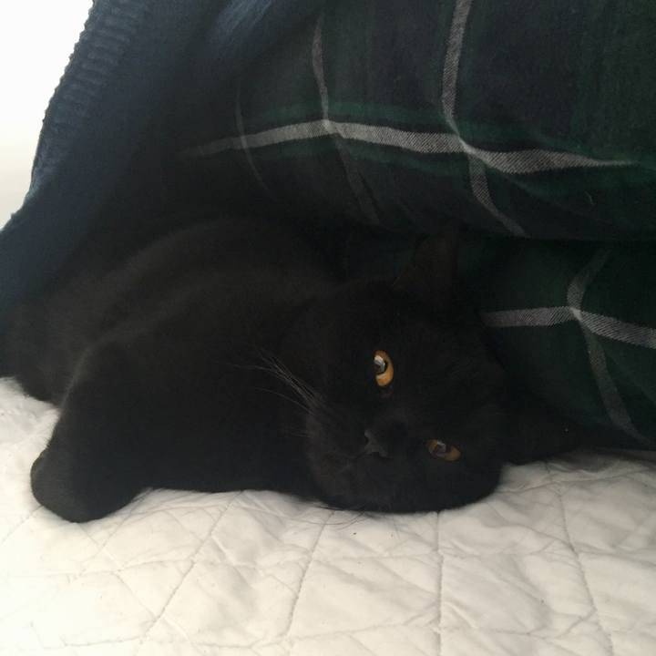 8439450d 8e7b 441a 9d45 8e6a4628f4bf 1579151631166