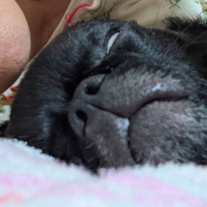 843963a3 89c4 4f90 84b3 e5fea8c90347 1761916060368