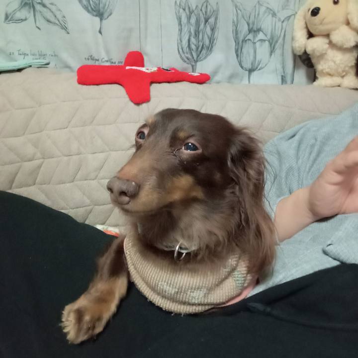 8439995d 5a6c 432a ab79 2eca315454ed 1773179685658