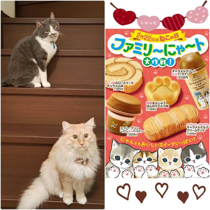 8439a976 b56b 478c 99bb ceadb6ef721c 1676332246960