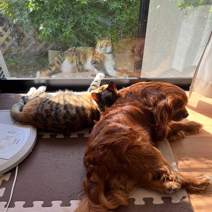 8439bc38 f9ca 4fc4 94dd 9b7d80f7cb8c 1683643934681