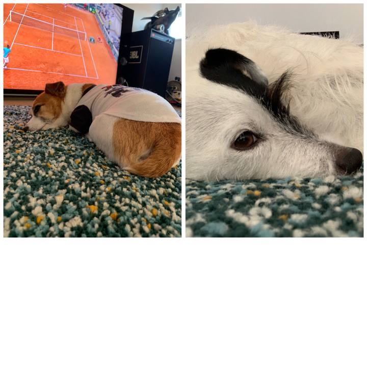 8439c0d4 4aa7 4a3d a97c b1104d380659 1601621540649