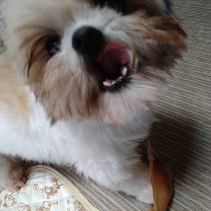 8439edc9 85ea 455e a549 d4817eec866d 1604276281840