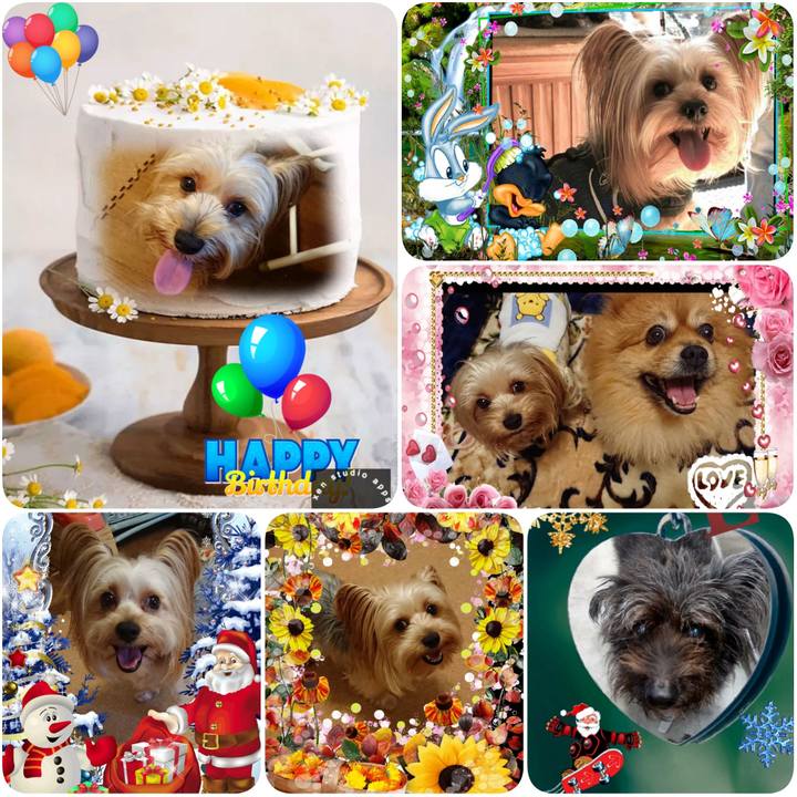 8439fadd 8d48 4e9e bc97 da8fe9d8515a 1608412406596