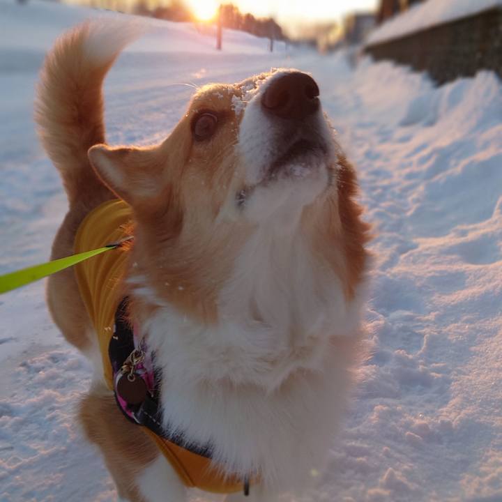 843a1bd0 e2ca 44d5 85fa 3674ee61f281 1771285530030